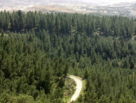 Yagorov Chalet Yavneʼel Buitenkant foto